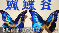 蝴蝶谷-吉林省自然博物馆【东北百座博物馆005-中】