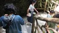 探密张家界市桑植县九天洞。