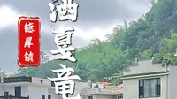 【无片头】文山市德厚镇红色美丽洒戛竜村建设专题汇报片 定稿（20230118）