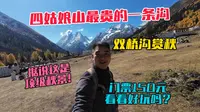 自驾川西来四姑娘山最贵的一条沟双桥沟赏秋，据说这里有顶级秋景，门票150元，看看好玩吗？