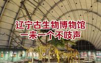 沈北这座免费博物馆，珍贵化石云集，沈阳遛娃圣地！