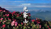 光雾山｜杜鹃花惊艳光雾山之巅