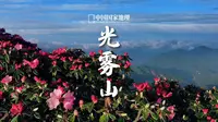 光雾山｜杜鹃花惊艳光雾山之巅