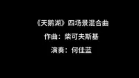 双排键电子琴演奏#芭蕾舞《天鹅湖》四场景混合曲#电子管风琴#柴可夫斯基#编曲岩崎、孝昭#古典音乐#天鹅湖