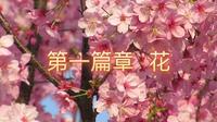 欢迎来到江西南昌黄马凤凰沟景区
