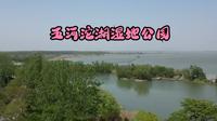 床车旅行第八天之带狗在安徽蚌埠五河县沱湖湿地游玩