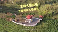 福建旅游攻略 打卡 三明大田 大仙峰 美人茶景区