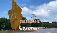 江苏张家港永联小镇，村子里有摩天轮，大家觉得怎么样？欢迎留言讨论