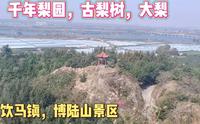潍坊昌邑饮马镇，有个博陆山景区，千年梨园，汉武遗址，带大家看