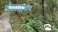 西畴香坪山！