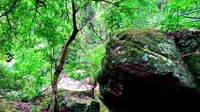 【莆田仙游县菜溪岩】青山绿水好风景