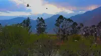 大理鹤庆银都水乡