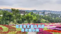 周末推荐在贵阳吃“蓝色”北美活虾，逛羊昌花画小镇