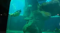 【北海海洋之窗】美人鱼表演