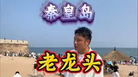 6分钟详解老龙头，您不知道的太多了