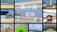 冬季冷门好玩，黄沙港赶海再看丹顶鹤