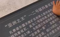 2023暑期一路自驾向北～漫游记之满洲里扎赉诺尔博物馆