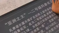 2023暑期一路自驾向北～漫游记之满洲里扎赉诺尔博物馆
