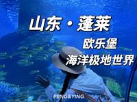 蓬莱|day2 早上去蓬莱欧乐堡海洋极地世界，海洋中的小动物们太可爱的