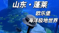 蓬莱|day2 早上去蓬莱欧乐堡海洋极地世界，海洋中的小动物们太可爱的