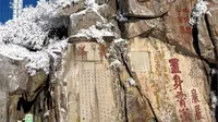 雾凇掩映下的唐摩崖#泰山 #雾凇