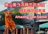 黄飞鸿狮艺武术馆 精彩梅花桩表演