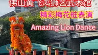 黄飞鸿狮艺武术馆 精彩梅花桩表演