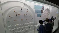 大连贝壳博物馆