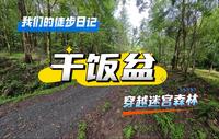 穿越干饭盆迷宫森林，再次遇到蛇