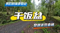 穿越干饭盆迷宫森林，再次遇到蛇
