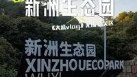 无锡新洲生态园，打卡“新洲湖！”啦！