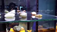 参观新疆历代和阗玉博物馆，第一次见超大羊脂白玉籽料，价格不敢想