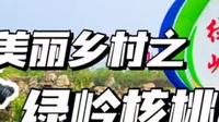 邢台临城，有一个被称为“市外桃源”的地方，那就是中国核桃小镇——绿岭。