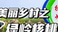 邢台临城，有一个被称为“市外桃源”的地方，那就是中国核桃小镇——绿岭。