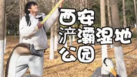 太好逛了吧 西安浐灞湿地公园简直就是鸟类百科全书