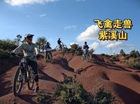 ［飞禽走兽］楚雄紫溪山电车局