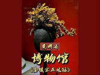 贵州省博物馆的镇馆之宝：金镶宝五凤冠！她既不属于明代的任何一位皇后，更不是皇室的随葬饰品。那到底是谁，还能有资格戴上这件凤冠呢？