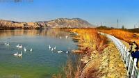 兰州市西固区达川镇三河口天鹅滩冰雪消融万物复苏