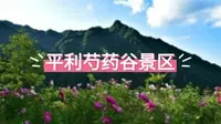 陕西安康平利县的神秘仙境：芍药谷景区
