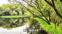 上海共青森林公园游玩攻略