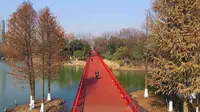 航拍青枫公园，据说是常州最大的免费公园，还有人工沙滩！