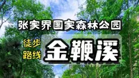 张家界国家森林公园｜金鞭溪完整线路攻略，少走冤枉路✨