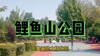 乌鲁木齐鲤鱼山公园，旅游休闲好去处