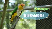 【旅拍07】逛一逛金华动物园拍动物，你认识哪几种？我来科普了