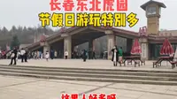 本地游玩推荐:长春东北虎园，特别适合亲子游玩，周末游客非常多