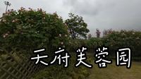 【成都】【天府芙蓉园】沉浸式逛公园