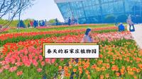 春天的石家庄植物园，就像做了一场五彩斑斓的梦。
