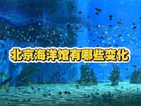 北京海洋馆有哪些变化