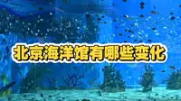 北京海洋馆有哪些变化
