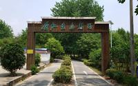 漫步合肥杜集生态鸟岛，感受乡村美景